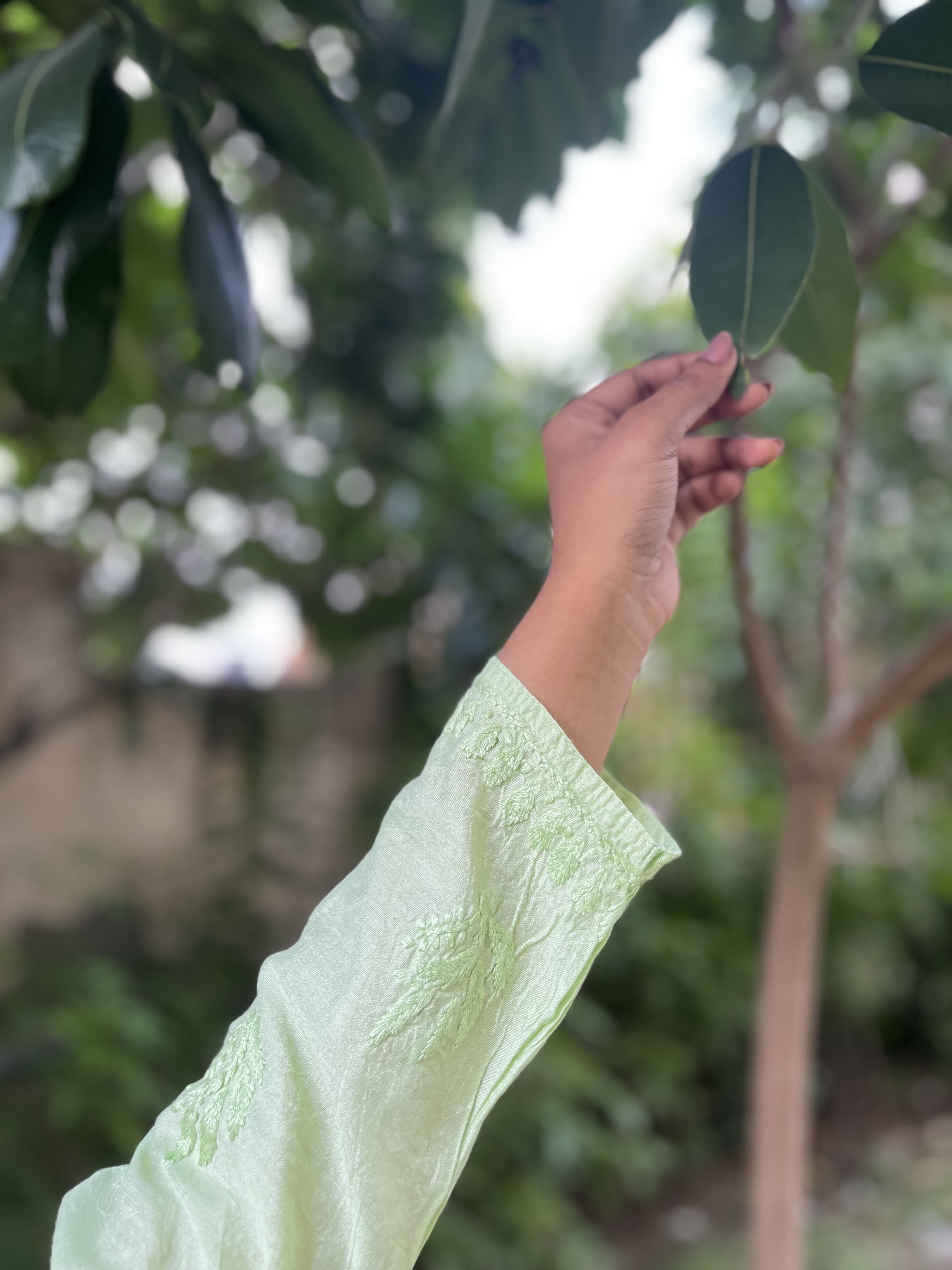 Chanderi Pista Dual Shade